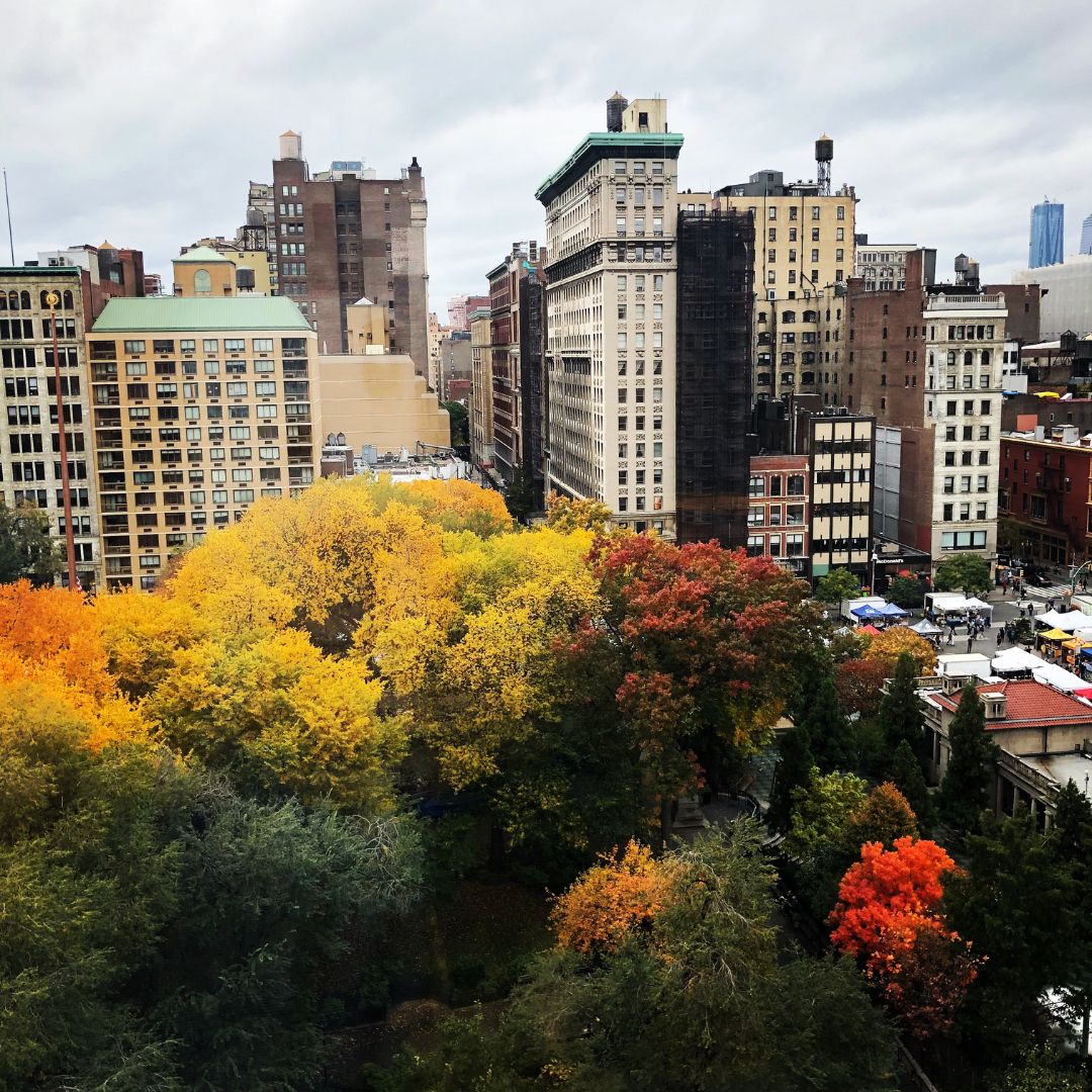 LGBTQ Counseling Office In NYC
